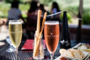 体育盛事掀起狂潮，全民狂欢