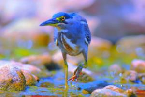 体育盛事掀起狂潮，全民狂欢