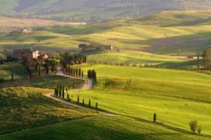 体育盛事掀起狂潮，全民狂欢