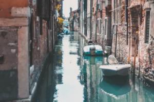 体育盛事掀起狂潮，全民狂欢