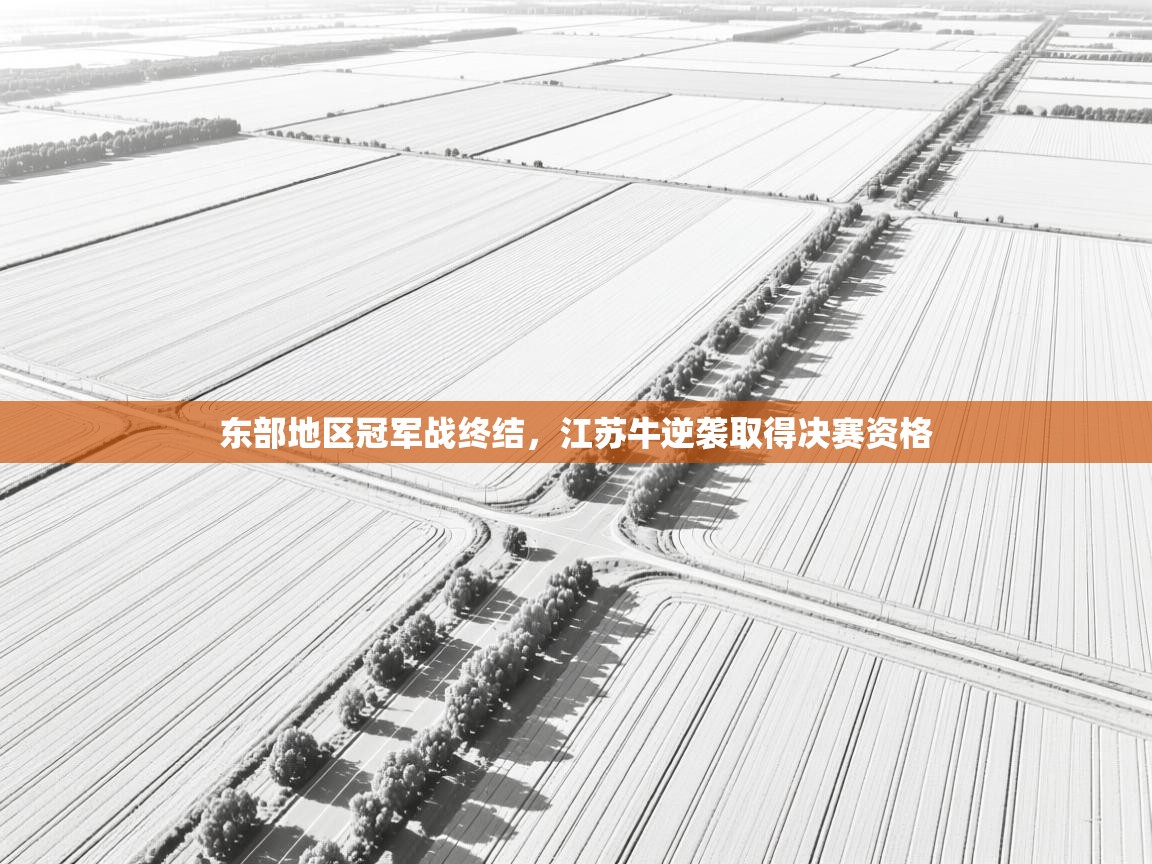 东部地区冠军战终结，江苏牛逆袭取得决赛资格