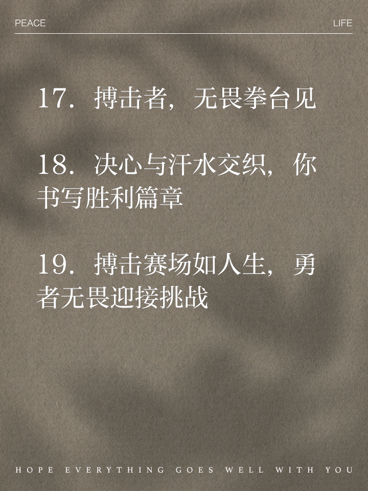 关于热血搏击！为荣誉而战争，胜负由你掌控的信息